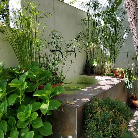 La Casa Del Rio *